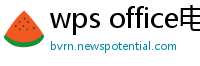 wps office电脑版